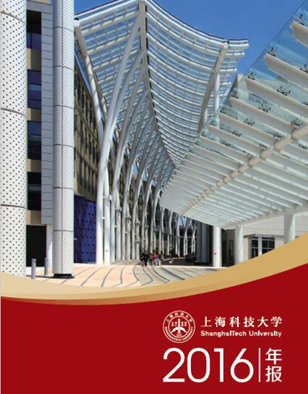 2016年梦想国际年报